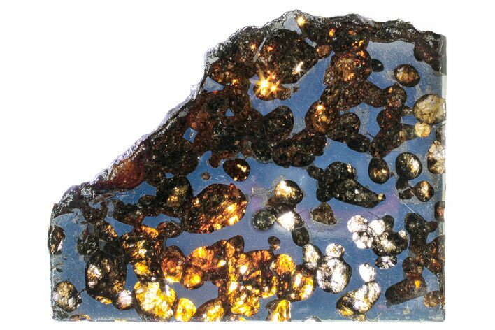 Polished Sericho Pallasite Meteorite ( g) Slice - Kenya #313716